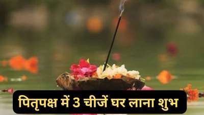 पितृपक्ष के दौरान पूर्वजों की कृपा प्राप्त करने के लिए हम श्राद्ध और तर्पण करते हैं। साल 2026 में 26 सितंबर से पितृपक्ष की शुरुआत होगी। इस दौरान कुछ चीजों को घर लाकर भी आप पितरों को प्रसन्न कर सकते हैं। आइए जान लेते हैं इन चीजों के बारे में। पितृपक्ष के दौरान पूर्वजों की कृपा प्राप्त करने के लिए हम श्राद्ध और तर्पण करते हैं। साल 2026 में 26 सितंबर से पितृपक्ष की शुरुआत होगी। इस दौरान कुछ चीजों को घर लाकर भी आप पितरों को प्रसन्न कर सकते हैं। आइए जान लेते हैं इन चीजों के बारे में।