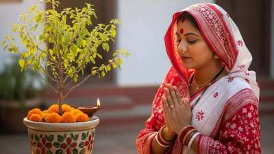 सनातन धर्म में तुलसी के पौधे को विशेष पवित्रता प्राप्त है। इसे भगवान विष्णु का प्रिय माना जाता है, इसलिए घरों में तुलसी की पूजा करने की परंपरा लंबे समय से चली आ रही है। धार्मिक मान्यताओं के अनुसार तुलसी की सेवा और पूजा करते समय कुछ नियमों का ध्यान रखना चाहिए। माना जाता है कि इन नियमों का पालन करने से तुलसी की पवित्रता बनी रहती है। अगर आपके घर में भी तुलसी का पौधा है, तो इन जरूरी बातों को जरूर जान लें।
सनातन धर्म में तुलसी के पौधे को विशेष पवित्रता प्राप्त है। इसे भगवान विष्णु का प्रिय माना जाता है, इसलिए घरों में तुलसी की पूजा करने की परंपरा लंबे समय से चली आ रही है। धार्मिक मान्यताओं के अनुसार तुलसी की सेवा और पूजा करते समय कुछ नियमों का ध्यान रखना चाहिए। माना जाता है कि इन नियमों का पालन करने से तुलसी की पवित्रता बनी रहती है। अगर आपके घर में भी तुलसी का पौधा है, तो इन जरूरी बातों को जरूर जान लें।