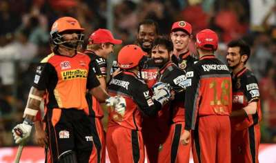 बेंगलुरु में मंगलवार को रॉयल चैलेंजर्स बेंगलोर के शैन वॉटसन सनराईज़र्स हैदराबाद के कप्तान डेविड वार्नर का विकेट चटकाने के बाद जश्न मनाते हुए।