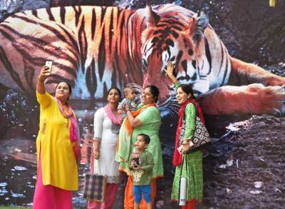 नई दिल्ली में अंतर्राष्ट्रीय टाइगर दिवस के मौके पर महिलाएं टाइगर की फोटो के साथ सेल्फी लेती हुई। दुनिया के 70 फीसदी बाघ भारत में पाए जाते है। वर्ष 2016 में जारी किए गए आकड़ों के अनुसार बाघों को&amp;nbsp;बचाने की दिशा में उठाए गए कदमों से उनकी संख्या 2500 पहुंच गई थी।