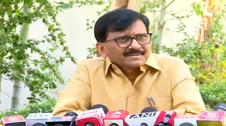 VIDEO: 'जरूरत पड़ी तो आएंगे साथ...' राज ठाकरे और उद्धव के एक साथ आने के सवाल पर और क्या बोले संजय राउत?  
