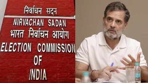 चुनाव आयोग ने किया राहुल गांधी के दावे का Fact Check, किस बयान को बताया गुमराह करने वाला?