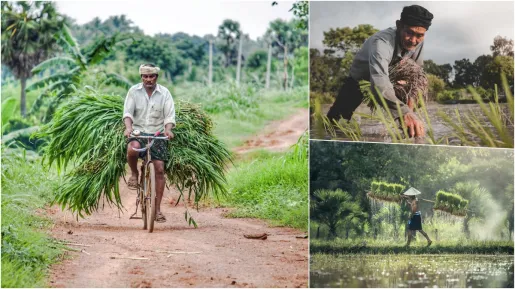 PM Kisan : देश के 9.5 करोड़ किसानों के खातों में जारी हुई पीएम किसान की किस्त, आपको मिला या नहीं पैसा ऐसे करें चेक