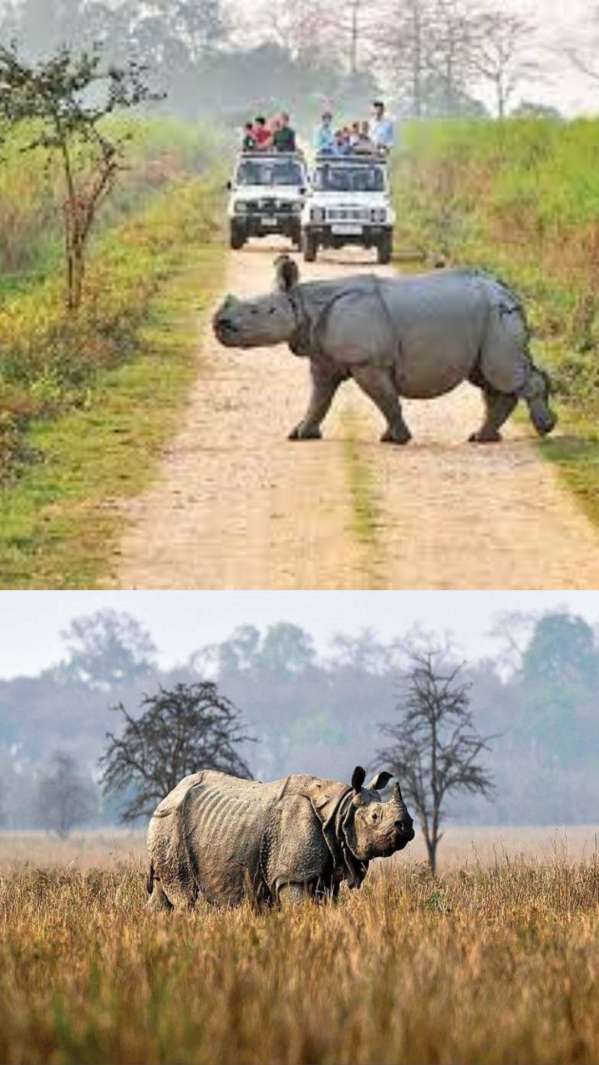 Kaziranga National Park is one of the best places to visit in North East India.