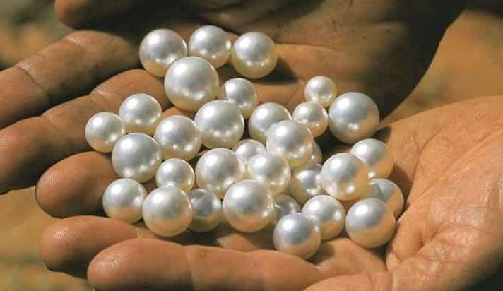 Advantages and disadvantages of wearing moti ratna pearl gemstone: मोती पहनने के भी होते है अपने फायदे और नुकसान, जानें किन लोगों को नहीं पहनना चाहिए ये रत्न - India TV Hindi