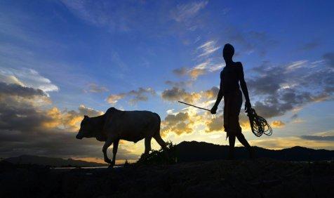 Poor Monsoon: किसानों के लिए मुश्किल भरा रहा साल 2015, उत्पादन घटने से चढ़े दालों और सब्जियों के दाम Poor Monsoon: किसानों के लिए मुश्किल भरा रहा साल 2015, उत्पादन घटने से चढ़े दालों और सब्जियों के दाम- India TV Paisa