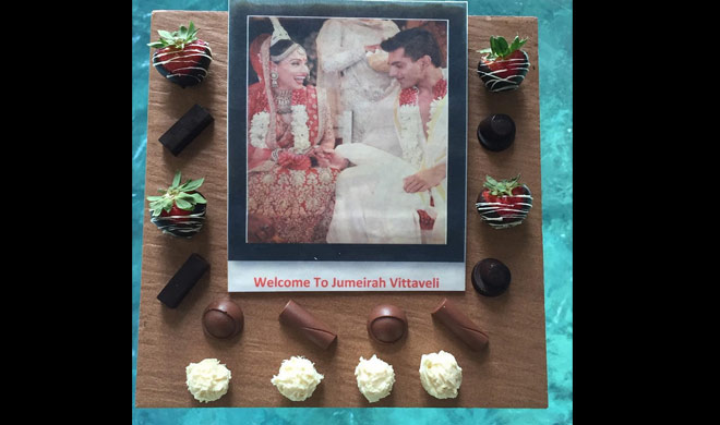 इन्होंने बाकी हस्तियों को तरह अपनी शादी की रस्मों को ज्यादा निजी नहीं रखा था।