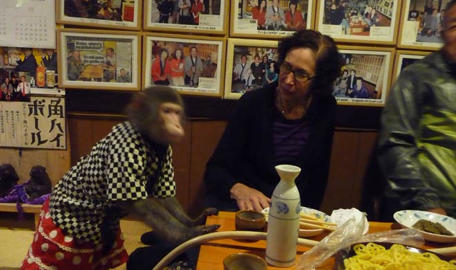 monkey waiter, tokyo