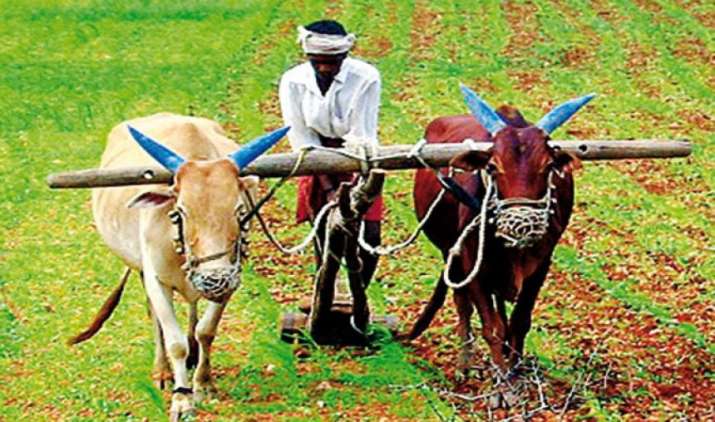 सरकार ने गेहूं का MSP 110 रुपए बढ़ाया, चने के समर्थन मूल्य में 400 रुपए का इजाफा सरकार ने गेहूं का MSP 110 रुपए बढ़ाया, चने के समर्थन मूल्य में 400 रुपए का इजाफा- India TV Paisa