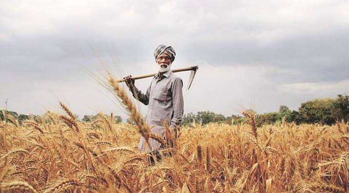 Farmers Income to Double Farmers Income to Double- India TV Paisa
