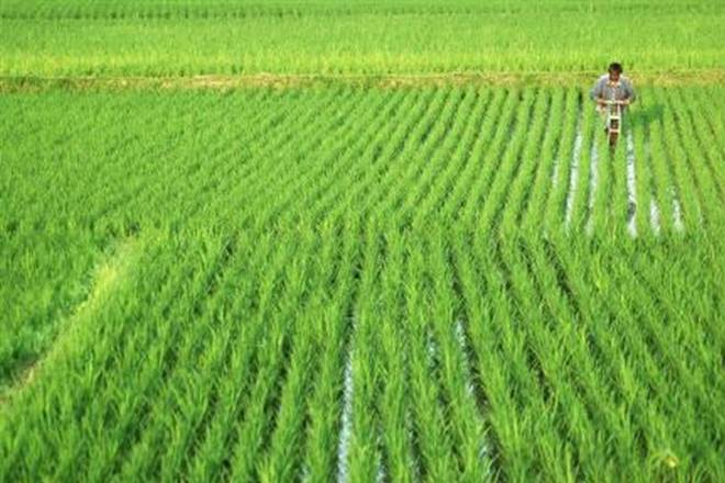 per drop more crop scheme per drop more crop scheme- India TV Paisa