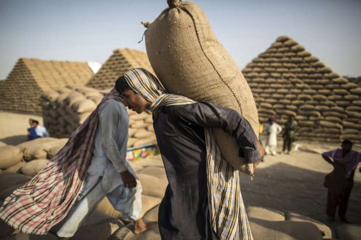 wheat procurement wheat procurement- India TV Paisa