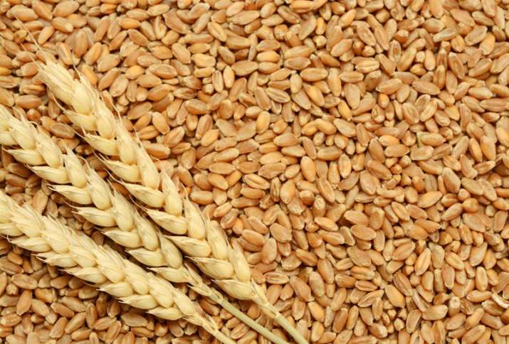 Wheat procurement crosses 30 million tons Wheat procurement crosses 30 million tons- India TV Paisa