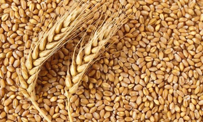 Wheat procurement Wheat procurement- India TV Paisa