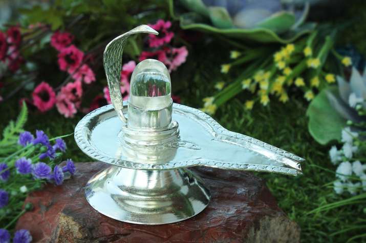 sHIVLING sHIVLING- India TV Hindi
