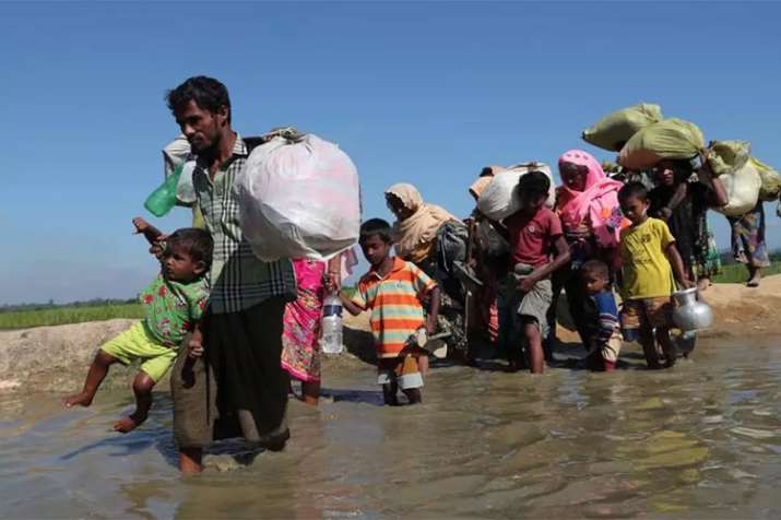Rohingya refugee flees camps to avoid return to Myanmar Rohingya refugee flees camps to avoid return to Myanmar - India TV Hindi