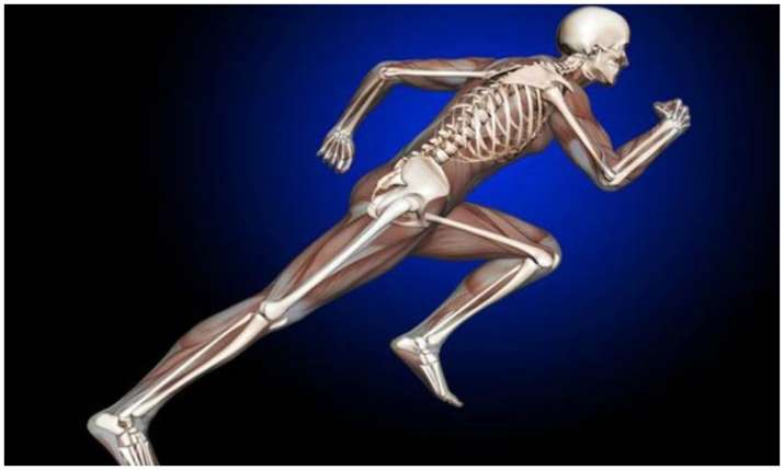 Healthy bones Healthy bones- India TV