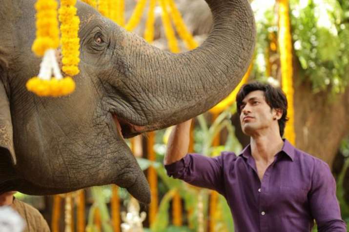 Junglee Teaser Junglee Teaser- India TV