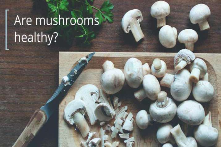 Mushroom Mushroom- India TV