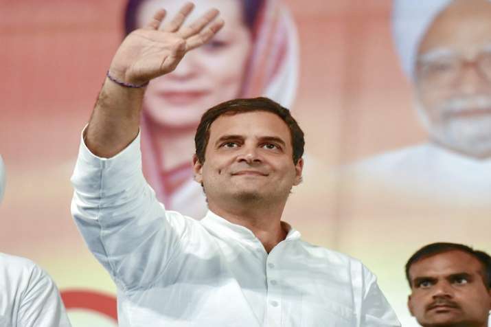 Rahul Gandhi Rahul Gandhi- India TV