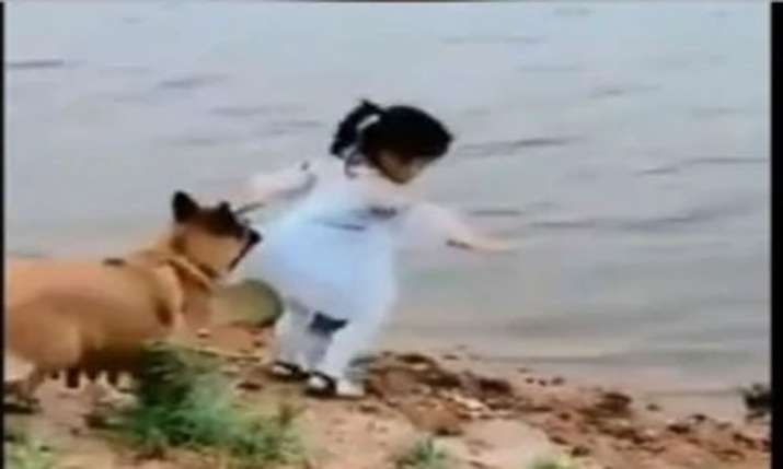 dog dog- India TV