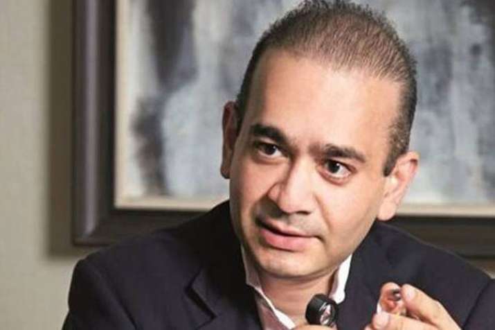 Nirav Modi Nirav Modi- India TV Hindi