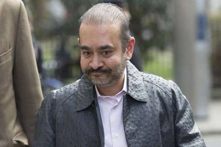 Nirav Modi, bail, reject, UK court Nirav Modi, bail, reject, UK court- India TV