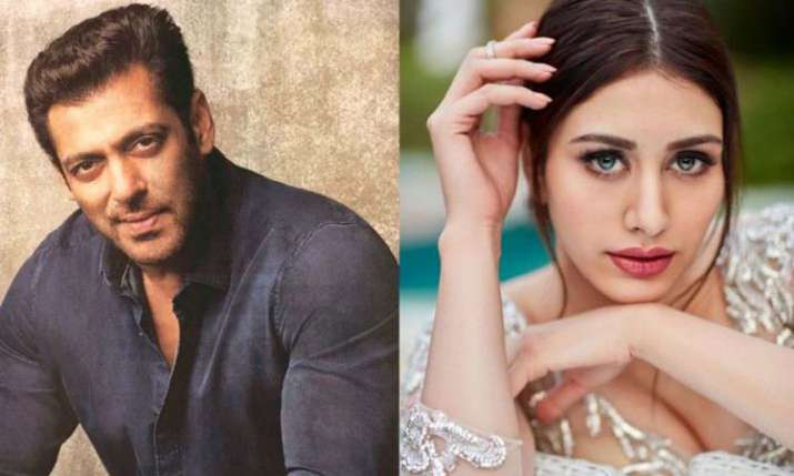 Salman Khan, Warina Hussain Salman Khan, Warina Hussain- India TV Hindi
