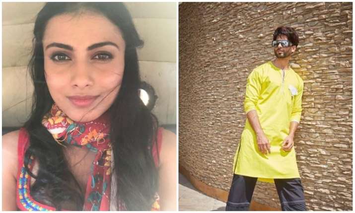 Aanchal chauhan and shahid kapoor Aanchal chauhan and shahid kapoor- India TV Hindi