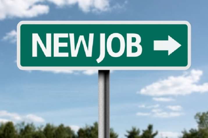 Rajasthan Job Rajasthan Job- India TV Hindi