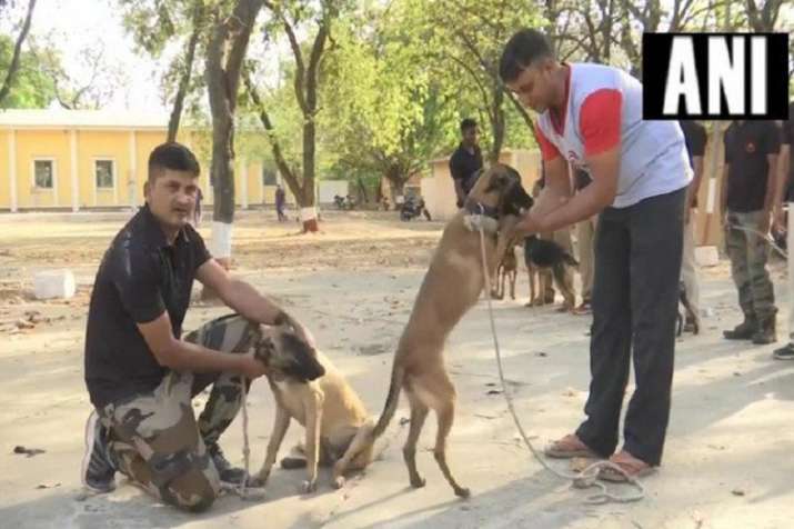 Police dogs Police dogs- India TV Hindi