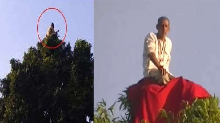 पेड़ के ऊपर बैठे 'बंदरिया बाबा' को देखने यूपी में उमड़ा जनसैलाब पेड़ के ऊपर बैठे 'बंदरिया बाबा' को देखने यूपी में उमड़ा जनसैलाब- India TV Hindi