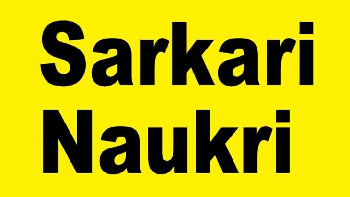 sarkari naukari 2019 sarkari naukari 2019- India TV