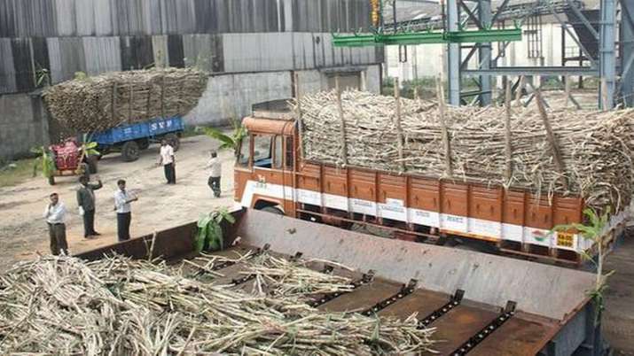 Sugar production Sugar production- India TV Paisa