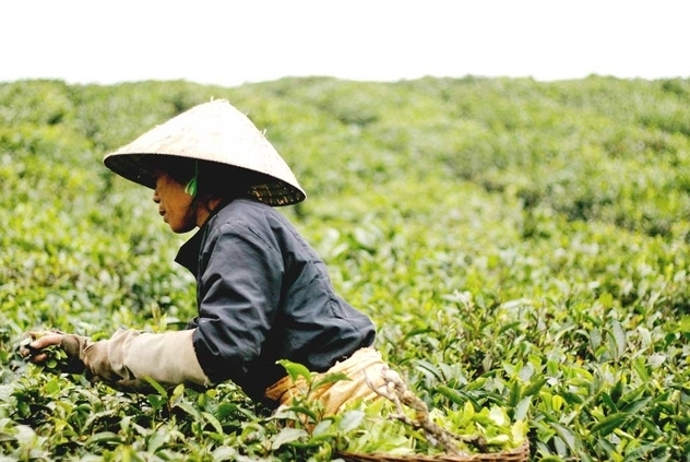 China ordered to increase food production amid Corona... China ordered to increase food production amid Corona...- India TV Paisa