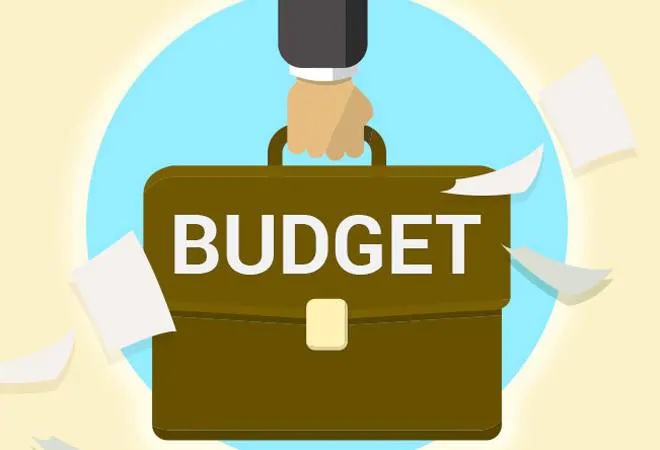Finance Ministry, social media campaign, budgetary terms Finance Ministry, social media campaign, budgetary terms - India TV Paisa