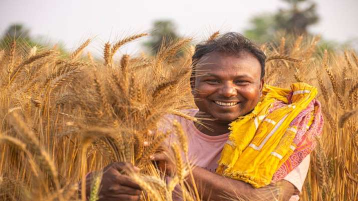 yogi govt approves cm farmer accident welfare scheme yogi govt approves cm farmer accident welfare scheme- India TV Paisa