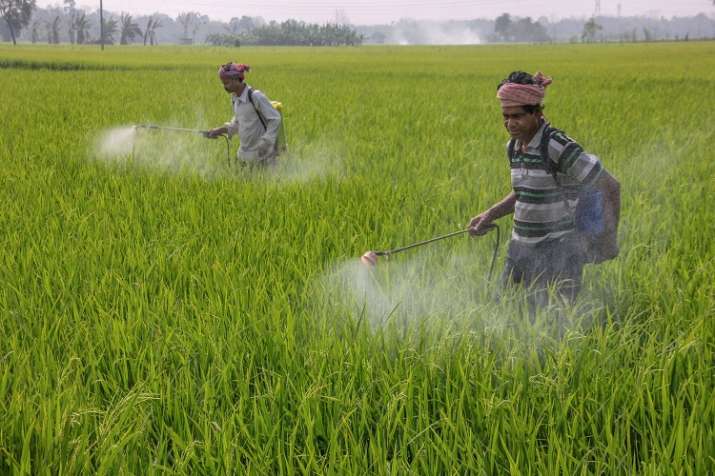 Fertilizer subsidy, Budget 2020, Direct Benefit Transfer, DBT Fertilizer subsidy, Budget 2020, Direct Benefit Transfer, DBT- India TV Paisa