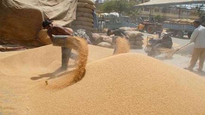 Food Corporation of India, Wheat, Wheat production, Wheat Stock Food Corporation of India, Wheat, Wheat production, Wheat Stock- India TV Paisa