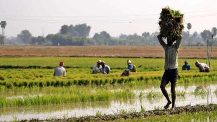 PM-KISAN scheme PM-KISAN scheme- India TV Paisa