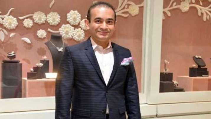 Nirav Modi (File Photo) Nirav Modi (File Photo)- India TV Paisa