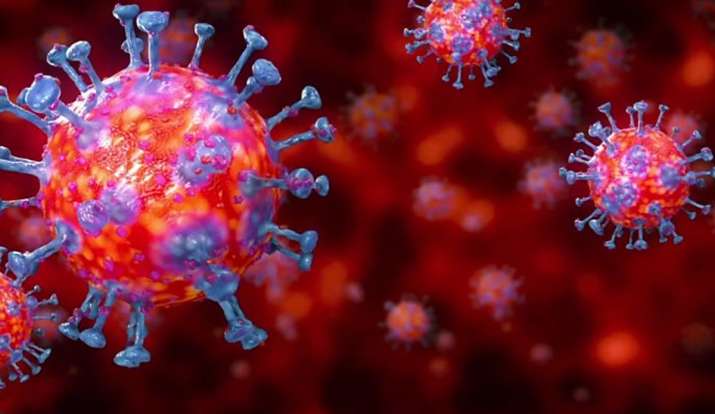 Coronavirus Coronavirus- India TV