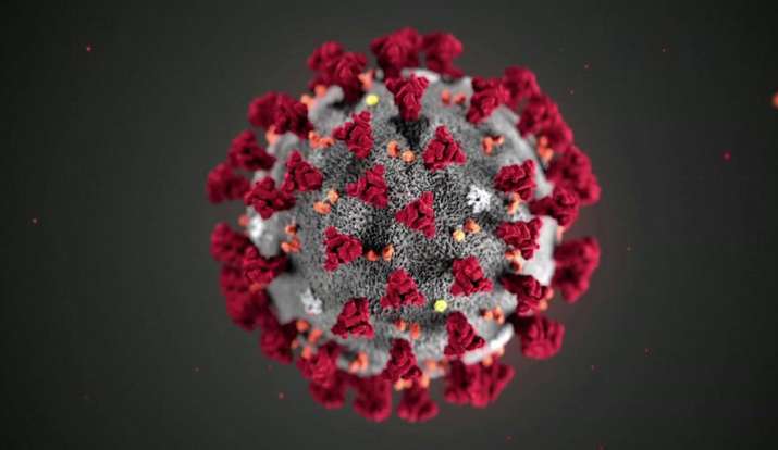Coronavirus Coronavirus- India TV