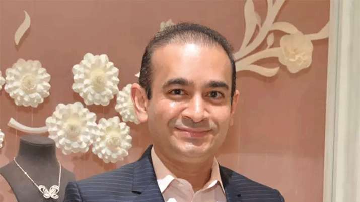 NCLT Mumbai orders liquidation of Nirav Modi's scam-hit firm NCLT Mumbai orders liquidation of Nirav Modi's scam-hit firm- India TV Paisa