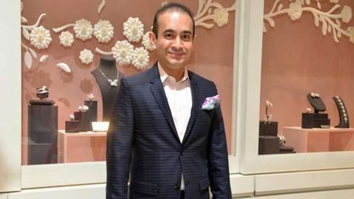 Fugitive Nirav Modi (File Photo) Fugitive Nirav Modi (File Photo)- India TV Paisa