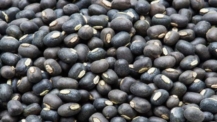 Deadline for urad imports extended till Apr 30 Deadline for urad imports extended till Apr 30- India TV Paisa
