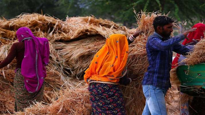 ICAR, Advisory, farmers, Rabi crops, coronavirus outbreak ICAR, Advisory, farmers, Rabi crops, coronavirus outbreak - India TV Paisa