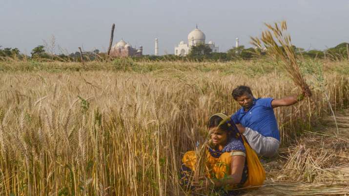 Agri sector Agri sector- India TV Paisa