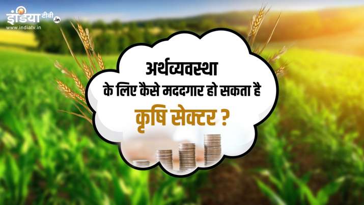 agriculture Sector, Indian Economy, lockdown agriculture Sector, Indian Economy, lockdown- India TV Paisa