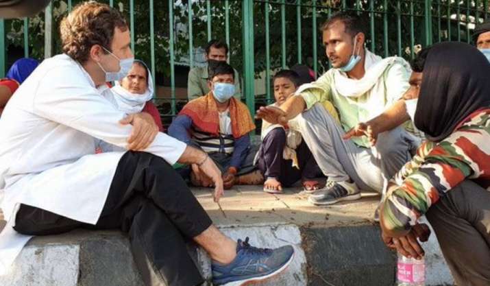 Rahul Gandhi Rahul Gandhi- India TV Hindi